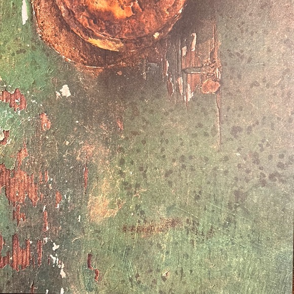 Scrapbook Paper! Wood Texture & Country Theme Backgrounds! 12x12” - Picture 9 of 17